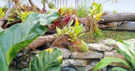 Češi objevili, jak si dopřát horké tropy zadarmo. Nejlepší způsob, jak strávit víkend