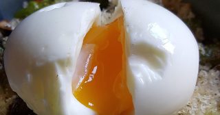 Vaření vajec bez kapky vody. Nový způsob přípravy překonává hrnec s vodou na celé čáře