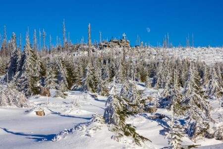 Kvíz: Česká příroda bez tipování. Výsledek rychle odhalí falešnou jistotu i přehnané sebevědomí