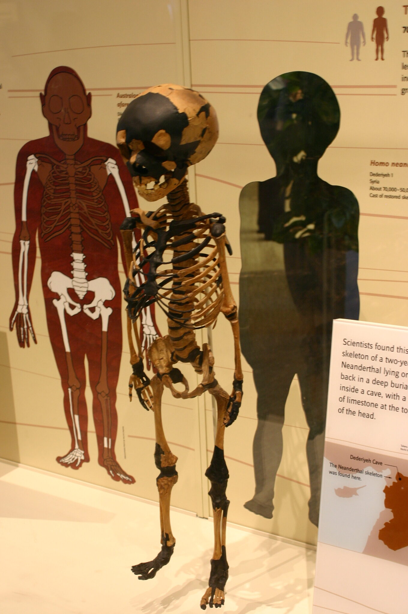 Krvavé rituály doby kamenné: Usekané paže a brutální mučení překvapují vědce