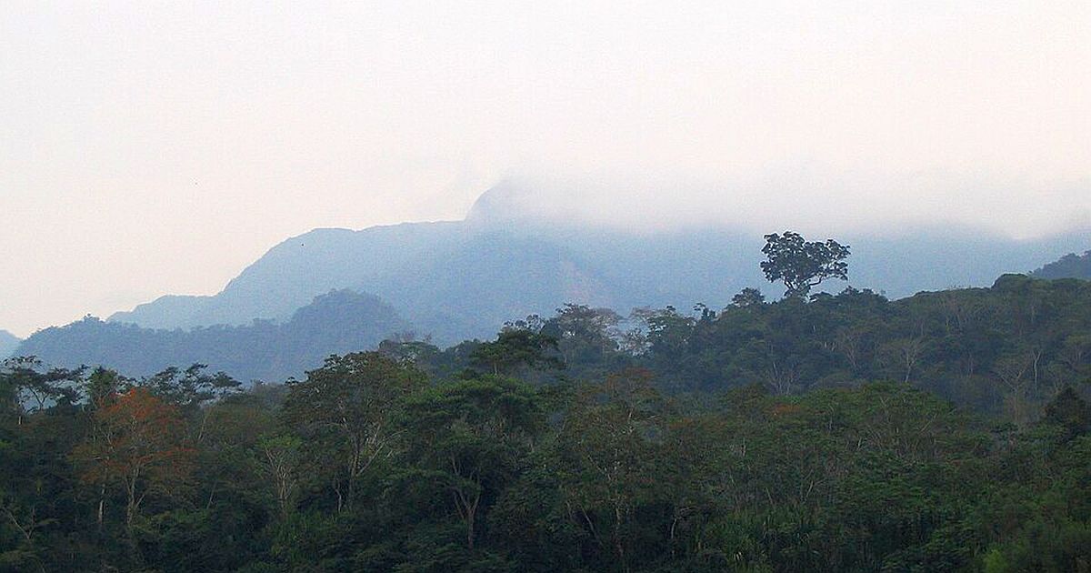 Tajemství Amazonie: dokonale symetrický kužel budí otázky už roky. Může jít o neznámou pyramidu