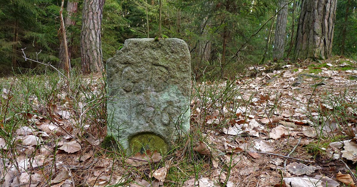 Spousta negativní energie a zástup tajemných úkazů. Skoro neznámý český les teď fascinuje ezoteriky