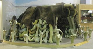 Před umrznutím chránily naše předky vynálezy z mamutích kostí. Byly geniální