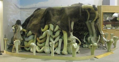 Před umrznutím chránily naše předky vynálezy z mamutích kostí. Byly geniální