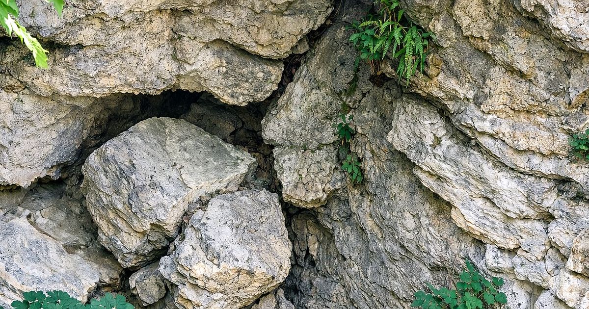 Kmotrova tůň vzala prvenství Italům. Od roku 2016 už Čechům jenom závidí