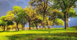 Počasí chystá tento týden radikální obrat. Jaro by mělo udeřit plnou silou, ale s jednou výjimkou