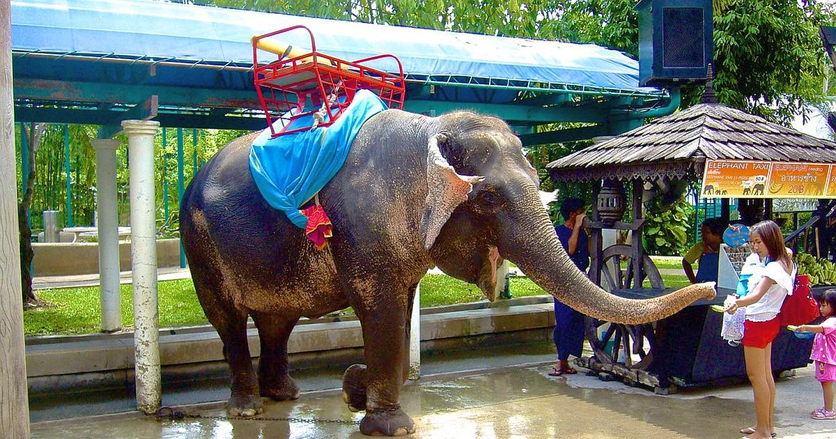 Unikátní fotku už si neuděláte. Oblíbená destinace Čechů definitivně zatrhla jejich častou zálibu