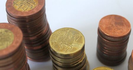 Zaplatila v obchodě a našla poklad: Vzácná desetikoruna za statisíce obletěla Česko