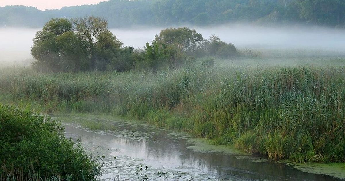Přívětivé jaro končí. Meteorologové hlásí brzký studený obrat