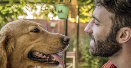 Přátelství staré tisíce let: Pes přišel do našich životů mnohem dřív, než jsme mysleli