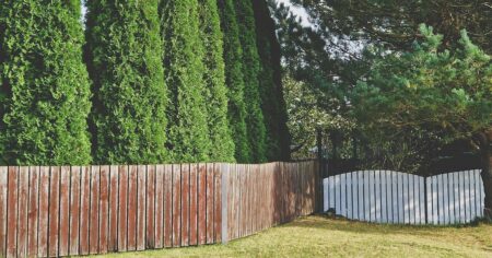 Nevinný živý plot, drahá chyba: Za túje u hranice pozemku hrozí sankce až 50 000 korun