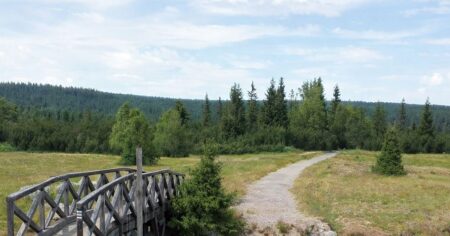 Jako na skotské vysočině. Největší české rašeliniště snese srovnání se světem