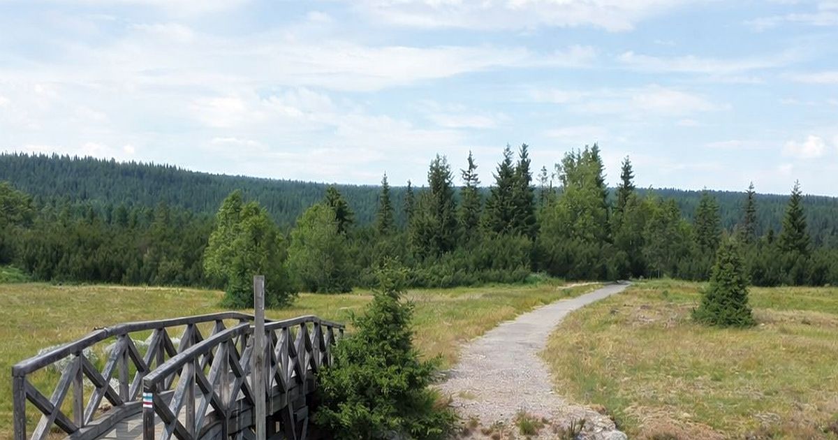 Jako na skotské vysočině. Největší české rašeliniště snese srovnání se světem