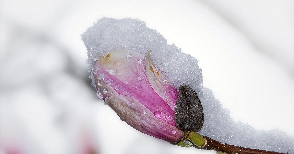 Česko zase zasype sníh, sněhová mapa rozdělí zemi na dvě poloviny