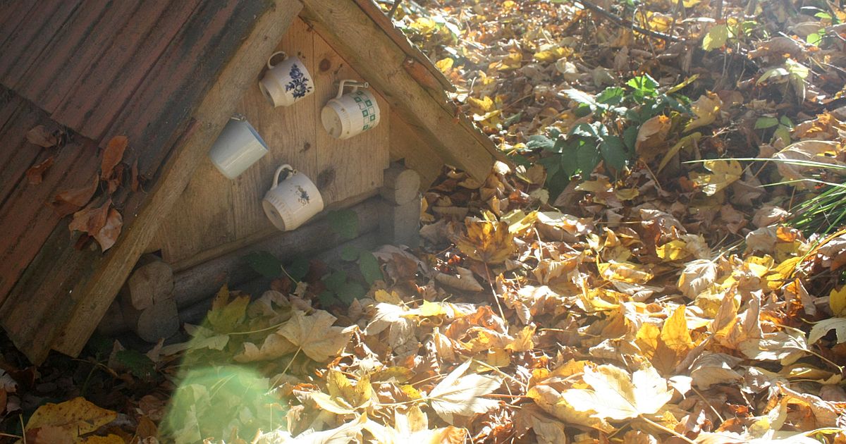 Nejkrásnější studánka u nás prý vrátila zrak české kněžně. Dnes ji najdete podle původní kapličky