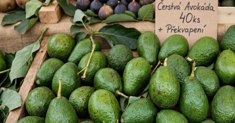 Optická výzva pro bystré oči: Had se schoval tak dobře, že ho většina lidí mine. Zvládnete ji do 10 vteřin?