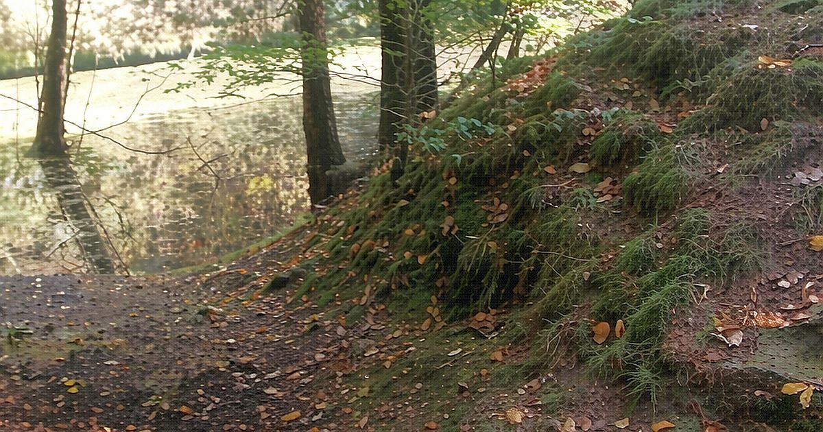 Na Lemberk míří davy, většinou ale úplně míjí zázračnou studánku poblíž. Ta prý přitom dovede divy