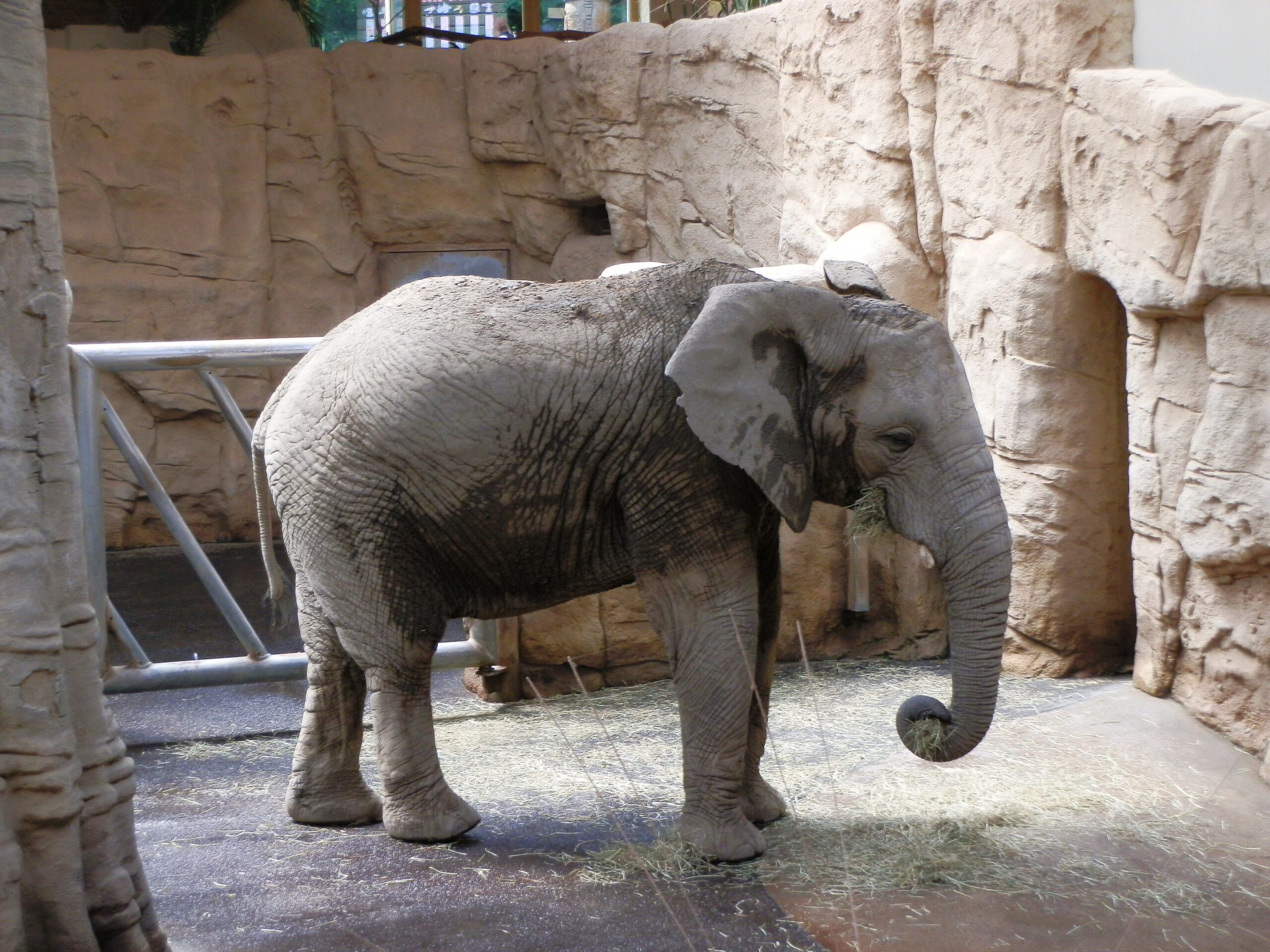 Nejkrásnější zoo v Česku? Praha to není, lidé objevili jiný hit