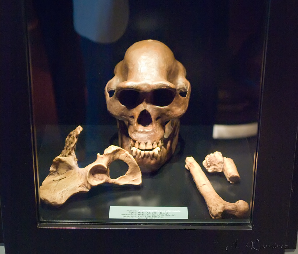 Všechno, co nás učili ve škole, je jinak! Čelisti miminek z Afriky totálně přepisují historii lidstva