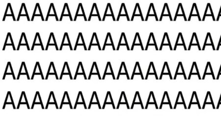 Všechno, co víte o svém mozku, je lež! Zjistěte, kolik procent kapacity skutečně využíváte, a vyzkoušejte tento geniální rébus