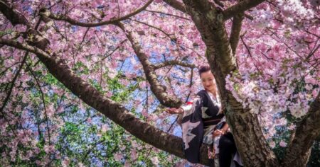 Japonsko ruší festival hanami. Neslušnosti turistů už byly k nepřežití