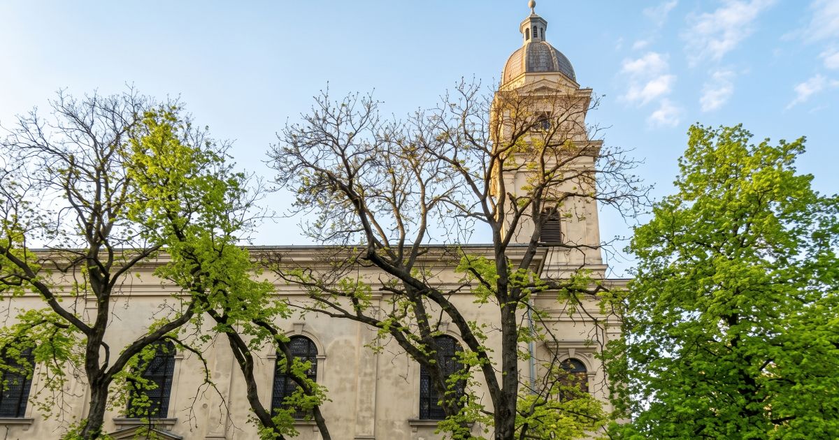 Tajemství Dolních Kounic: Všichni míří jen za záhadnými kameny, ale další poklad poblíž trestuhodně míjí