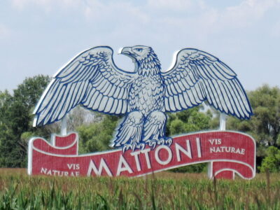 Roky vzniku českých značek, které používáme dodnes. Některé trefí každý, vyšší skóre už oddělí skutečné znalce