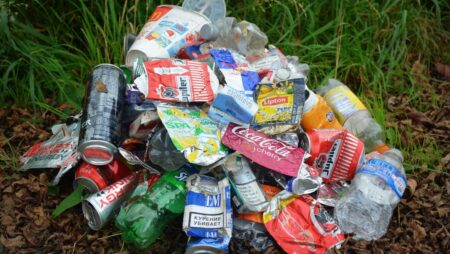 Dovolená s koštětem v ruce? Berlín přišel s radikálním plánem, jak přimět turisty uklízet ulice