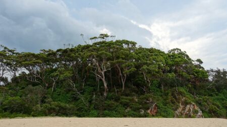 Odmítl miliardu korun! Neuvěřitelný příběh muže, který dal přednost želvám před nátlakem miliardářů