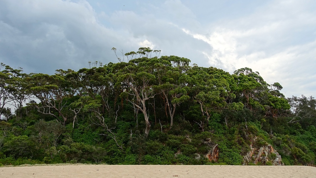 Odmítl miliardu korun! Neuvěřitelný příběh muže, který dal přednost želvám před nátlakem miliardářů