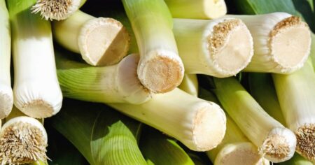 Chcete obří pórek bez chemie? S těmito „bodyguardy“ na záhonu poroste jako z vody a bez vrtalky