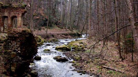 Vstoupili jsme do země nikoho. Novohradské hory jsou nejstřeženějším tajemstvím jihu