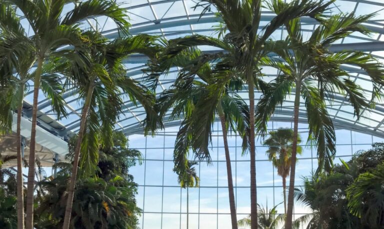 Do Bukurešti jen kvůli wellness: Stojí Therme za ten hype?