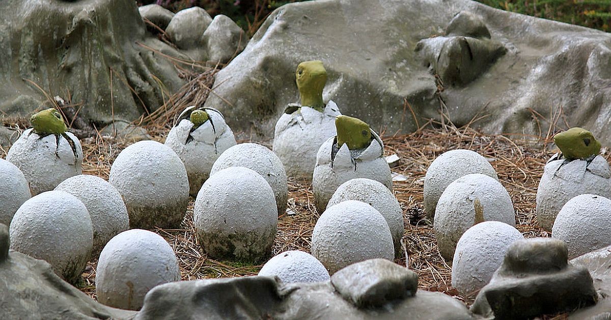 Jurský park na jihu Francie: Našli hnízdiště se stovkami vajec. Paleontologové přiznávají: „Nic takového jsme v životě neviděli!“