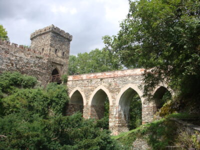 Morbidní láska až za hrob: Na Bítově najdete nejmorbidnější sbírku mazlíčků na světě