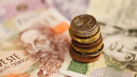 Prohledejte drobné z nákupu! Pokud narazíte na tuto nenápadnou desetikorunu, můžete okamžitě slavit