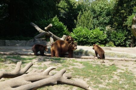 Němci vybrali nejlepší zoo: Berlín ani Lipsko nevyhrály, vítěze máte navíc kousek za humny