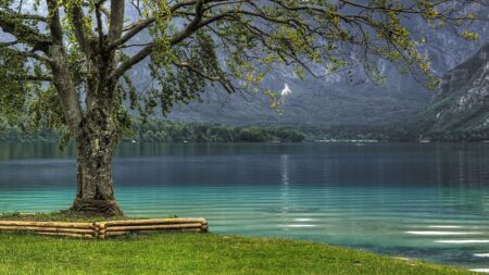 Jezero Bohinj leží pár hodin od Prahy a má průzračnost srovnatelnou s Jadranem. Za čistotou stojí ledovcová pánev v Alpách
