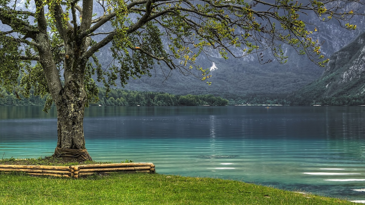 Jezero Bohinj leží pár hodin od Prahy a má průzračnost srovnatelnou s Jadranem. Za čistotou stojí ledovcová pánev v Alpách