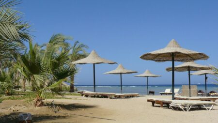 Lepší podívaná než ve Středozemním moři. Podívejte se, proč čeští turisté propadli kouzlu Marsa Alam