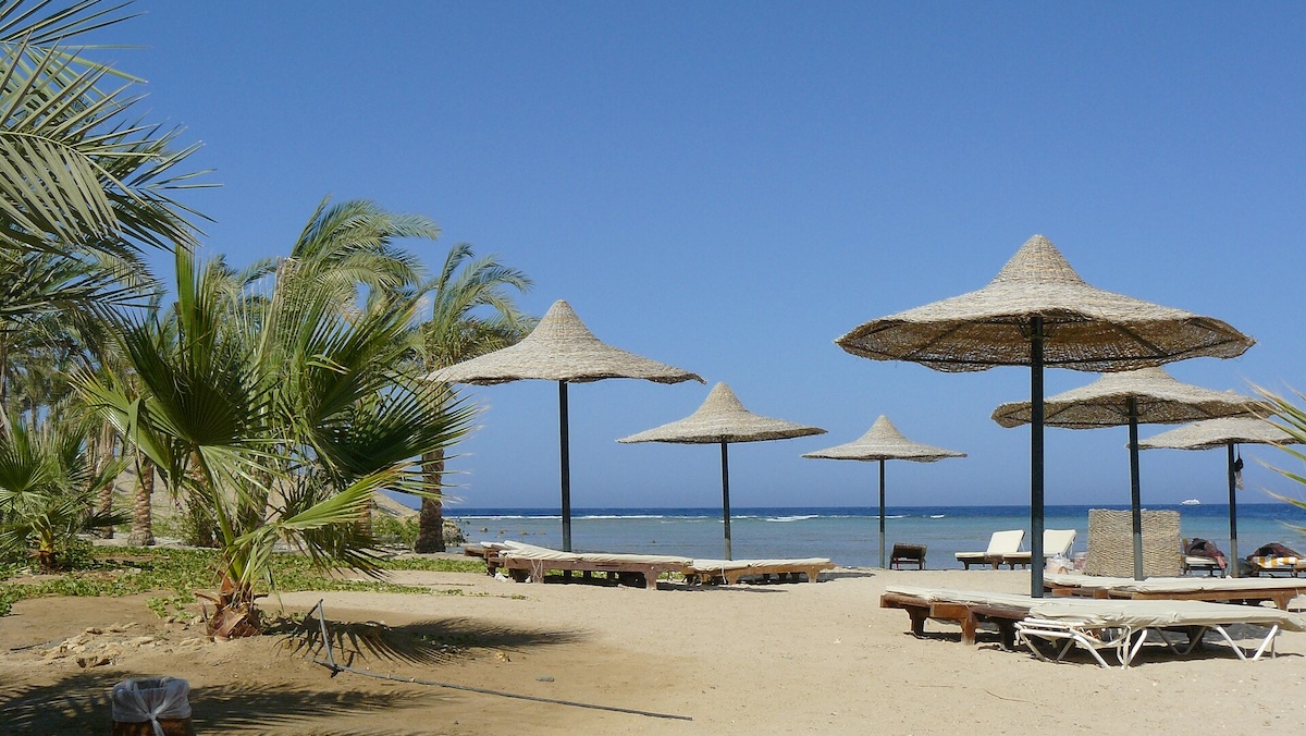 Lepší podívaná než ve Středozemním moři. Podívejte se, proč čeští turisté propadli kouzlu Marsa Alam