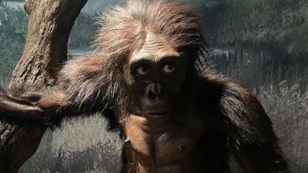 Překvapivé kořeny našich předků. První primáti podle nové studie evolučně vzešli z chladných oblastí