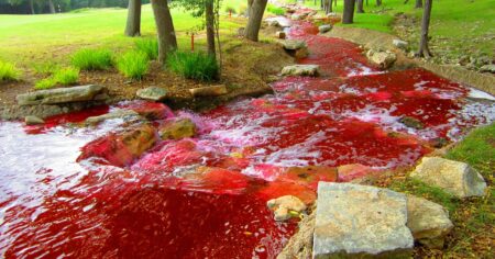 Antarktické Blood Falls barví do krvava železo v solance, která se dere zpod ledovce Taylor