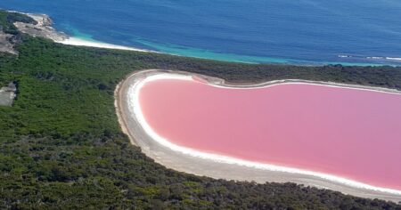 Lake Hillier barví každý rok do růžova pigmenty unikátních halofilních mikrobů žijících ve slaném prostředí