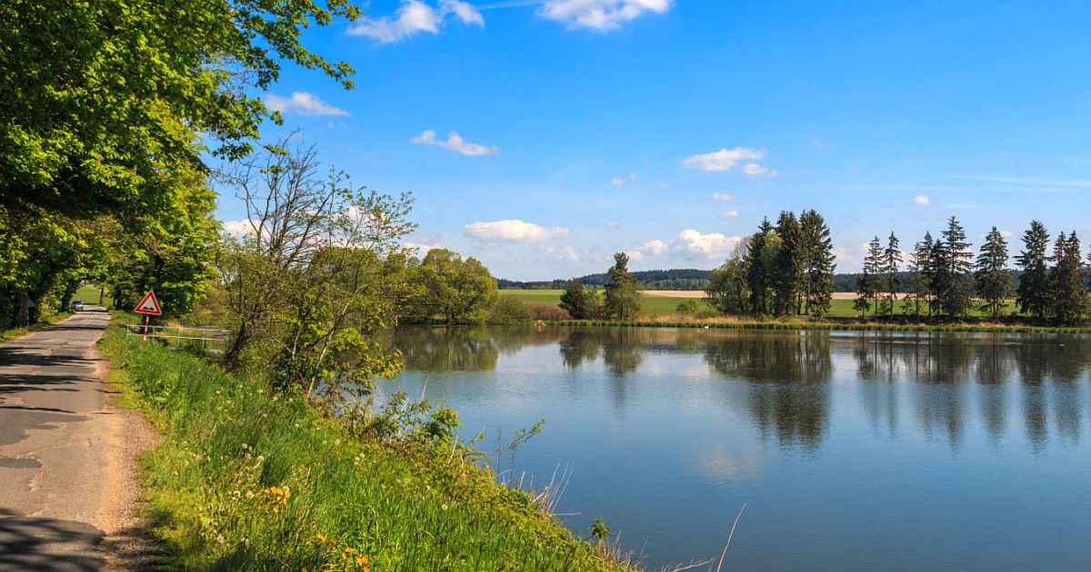 Rybník Dářko má vodu jako Černé moře. Pod hladinou leží tisíciletá vrstva rašeliny, která ji barví do černa