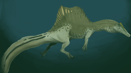 Unikátní nález dravého dinosaura v Sahaře. Nově popsaný spinosaurus měl na hlavě masivní ostrý hřeben