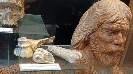 Neandertálci měli v nose kostěnou „turbínu“. Ohřívala vdechovaný vzduch o 30 °C, než dorazil do plic