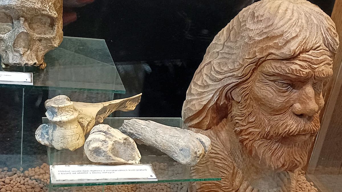 Neandertálci měli v nose kostěnou „turbínu“. Ohřívala vdechovaný vzduch o 30 °C, než dorazil do plic