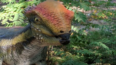 Dinosauři viděli na noční obloze jiné souhvězdí. Za 66 milionů let se hvězdy posunuly o desítky stupňů vlastním pohybem