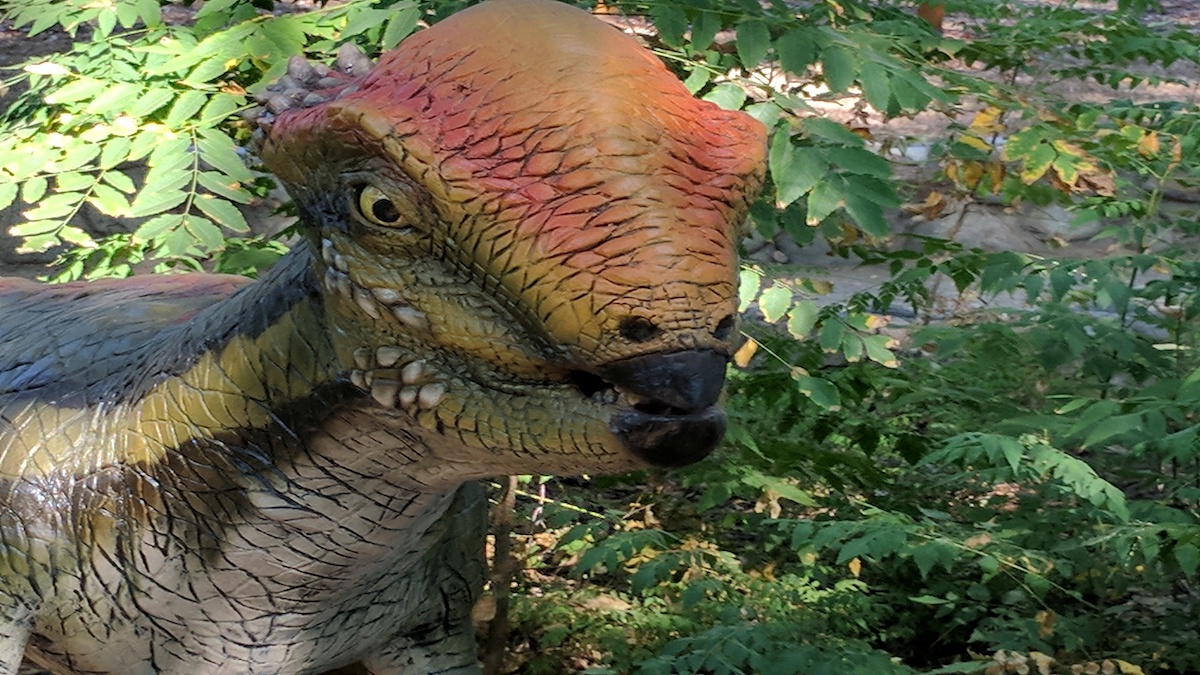 Dinosauři viděli na noční obloze jiné souhvězdí. Za 66 milionů let se hvězdy posunuly o desítky stupňů vlastním pohybem
